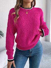 Thumbnail for Contrast Trim Round Neck Long Sleeve Sweater - T - 3 COLORS -