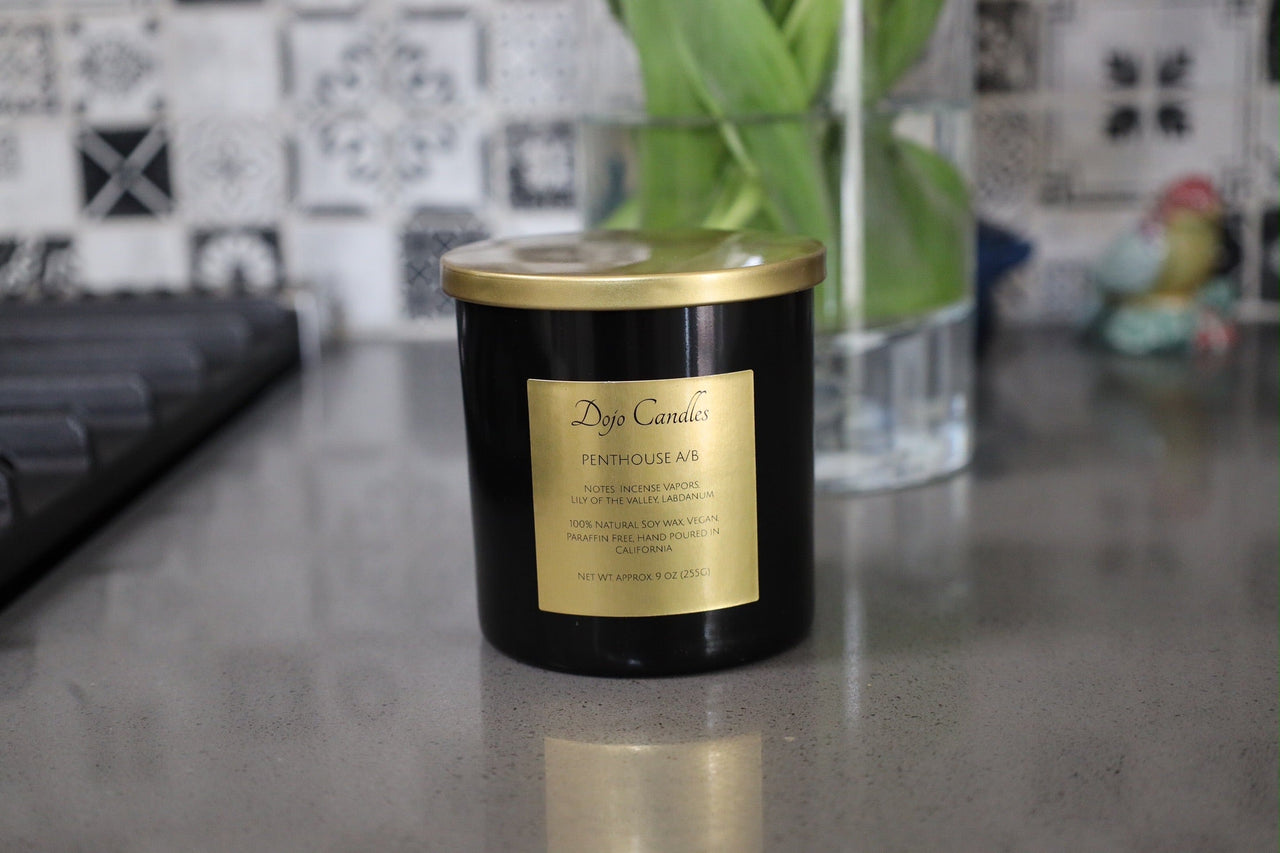 Penthouse a/B (Cire Trudon Spiritus Sancti Dupe) Candle