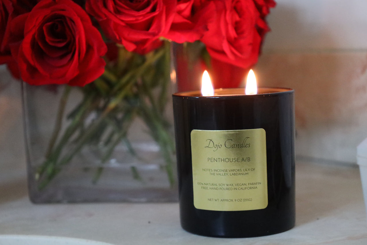 Penthouse a/B (Cire Trudon Spiritus Sancti Dupe) Candle