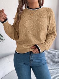 Thumbnail for Contrast Trim Round Neck Long Sleeve Sweater - T - 3 COLORS -