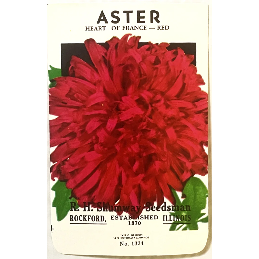 Vintage 1960s 🐝 R. H. Shumway Aster Seed Packet, Rockford, IL, Pioneer of Seeds!