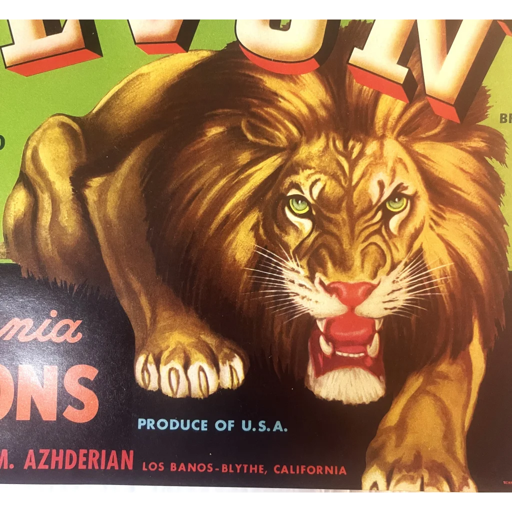 Antique Vintage 1940s Levon 🦁 Crate Label, Los Banos - Blythe, CA, Beautiful!