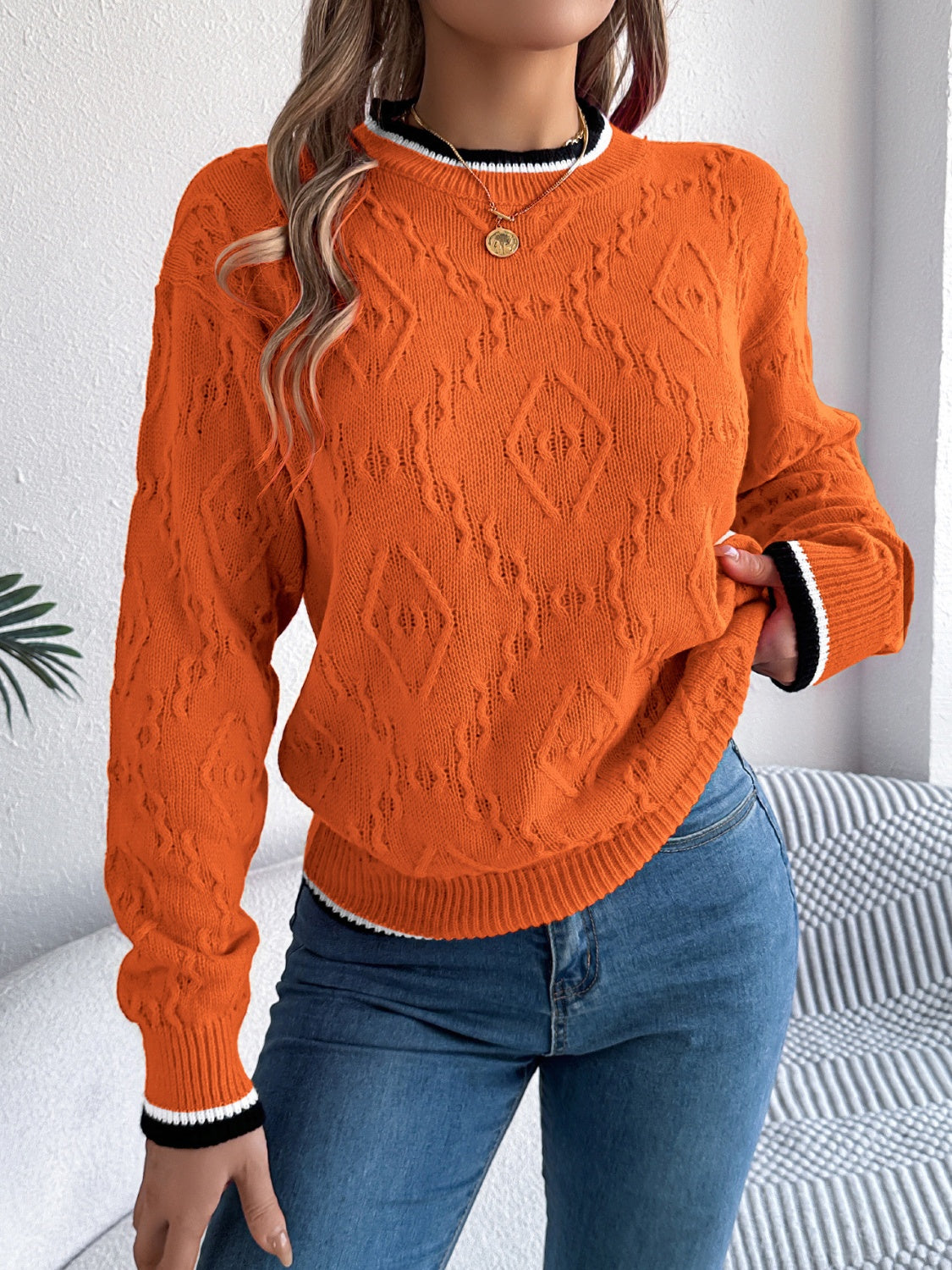 Contrast Trim Round Neck Long Sleeve Sweater - T - 3 COLORS -