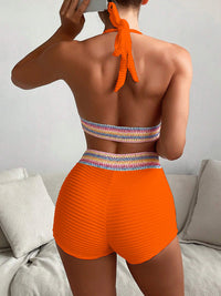 Thumbnail for Backless Textured Halter Neck Two-Piece Swim Set - T - 6 COLORS -