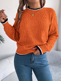 Thumbnail for Contrast Trim Round Neck Long Sleeve Sweater - T - 3 COLORS -