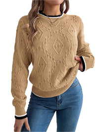 Thumbnail for Contrast Trim Round Neck Long Sleeve Sweater - T - 3 COLORS -