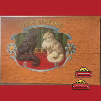 Thumbnail for Antique Vintage Our Kitties Embossed Wood Grain Cigar Label 1900s - 1920s