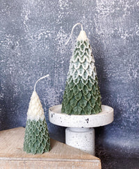 Thumbnail for Christmas Tree Candles | Pine Trees | Holiday Decor - 4 STYLES - 4 FRAGRENCES -