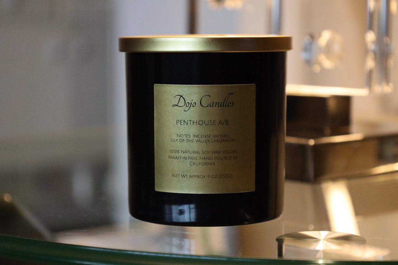 Penthouse a/B (Cire Trudon Spiritus Sancti Dupe) Candle