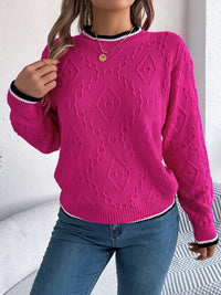 Thumbnail for Contrast Trim Round Neck Long Sleeve Sweater - T - 3 COLORS -