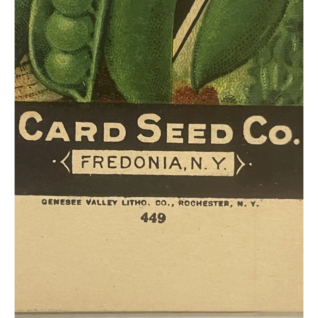 Antique Vintage 1908 - 1920 ☎️ Pea Box, Fredonia, NY, Famous Card Seed Co. 😍