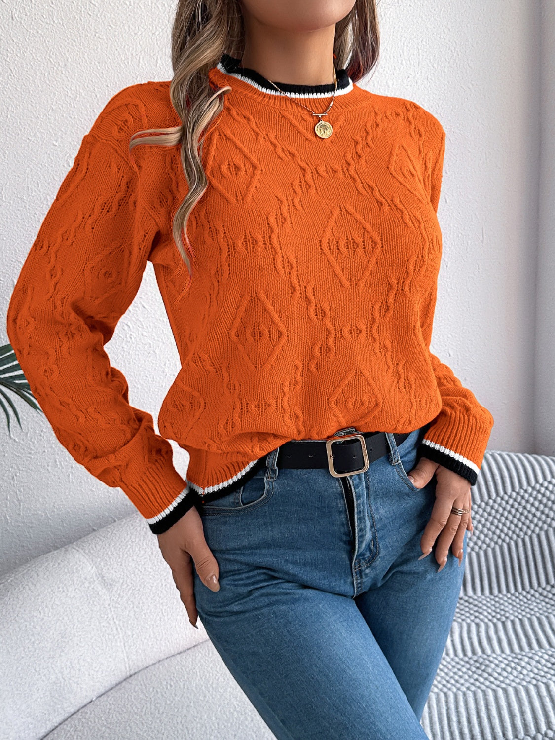 Contrast Trim Round Neck Long Sleeve Sweater - T - 3 COLORS -