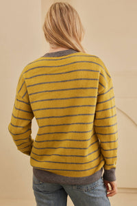 Thumbnail for Flower Stripe Round Neck Long Sleeve Sweater - T - 1 COLOR -