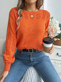 Thumbnail for Openwork Round Neck Long Sleeve Sweater - T - 3 COLORS -