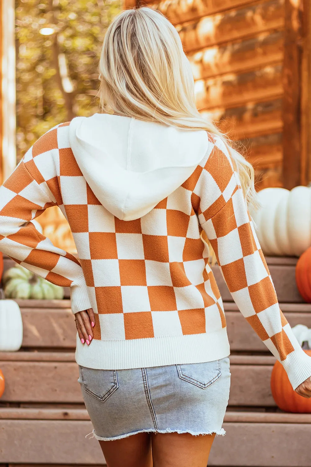 Checkered Long Sleeve Hooded Sweater - T - 1 COLOR -