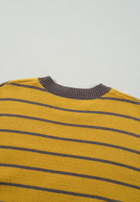 Thumbnail for Flower Stripe Round Neck Long Sleeve Sweater - T - 1 COLOR -