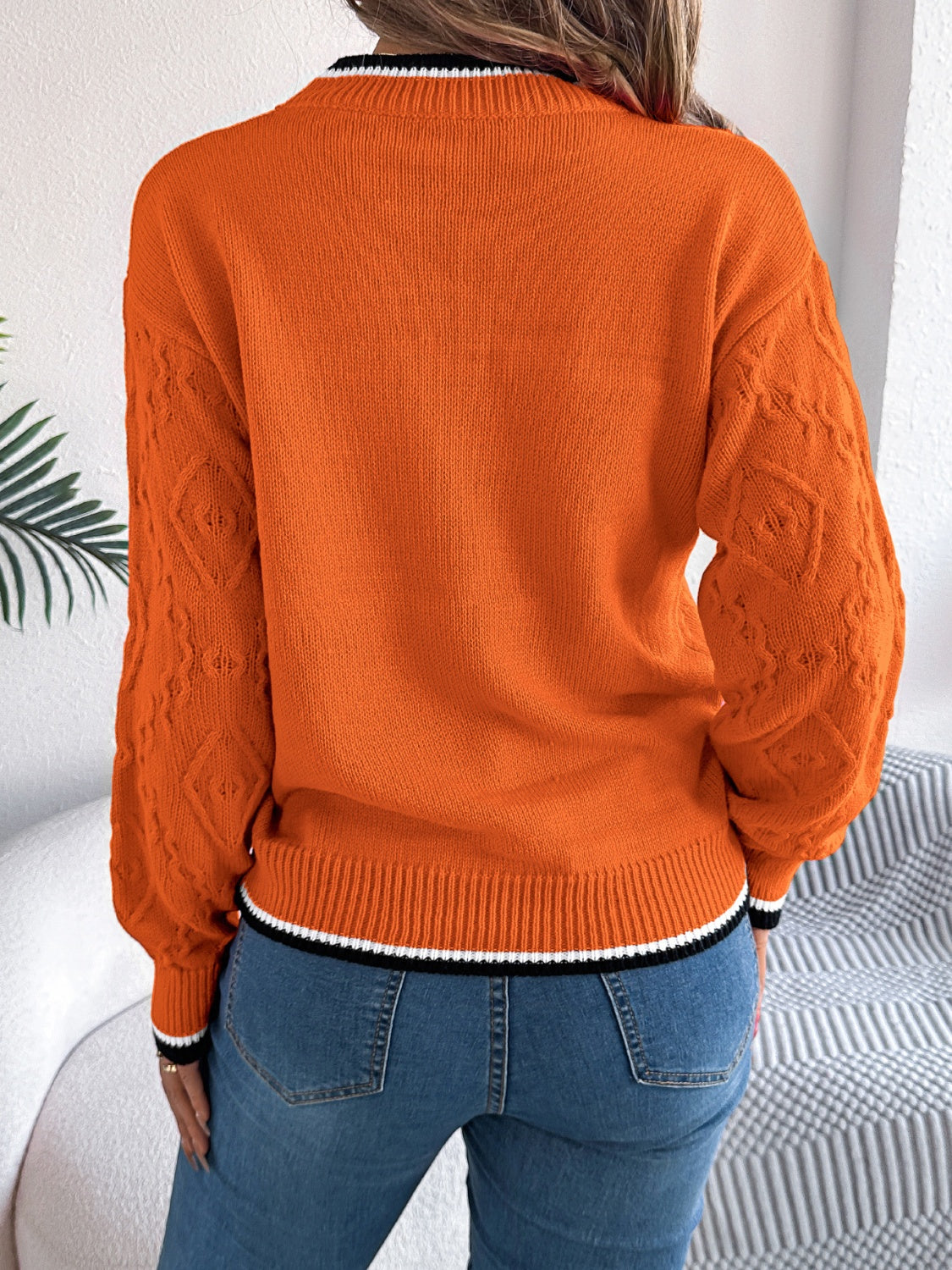 Contrast Trim Round Neck Long Sleeve Sweater - T - 3 COLORS -