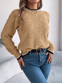 Thumbnail for Contrast Trim Round Neck Long Sleeve Sweater - T - 3 COLORS -