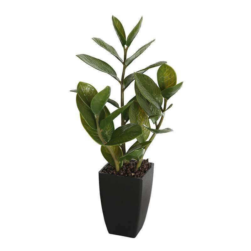 46cm Potted Artificial Zanzibar -