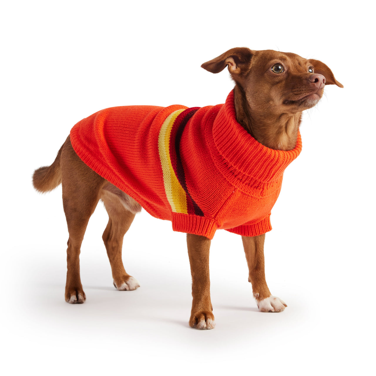 Retro Sweater - Orange - 9 SIZES - 1 COLOR -