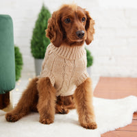 Thumbnail for Chalet Dog Sweater - Oatmeal - 10 SIZES - 1 COLOR -