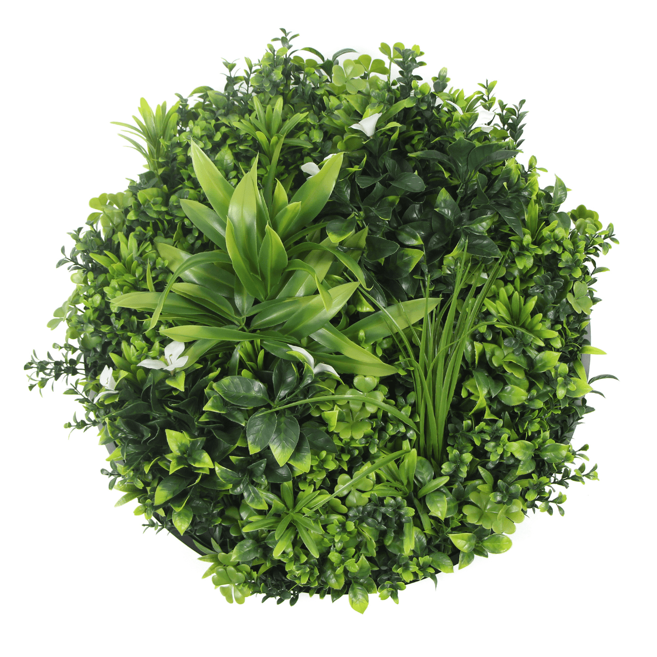 Luxury Artificial Green Wall Disc 30" Black Frame UV Resistant