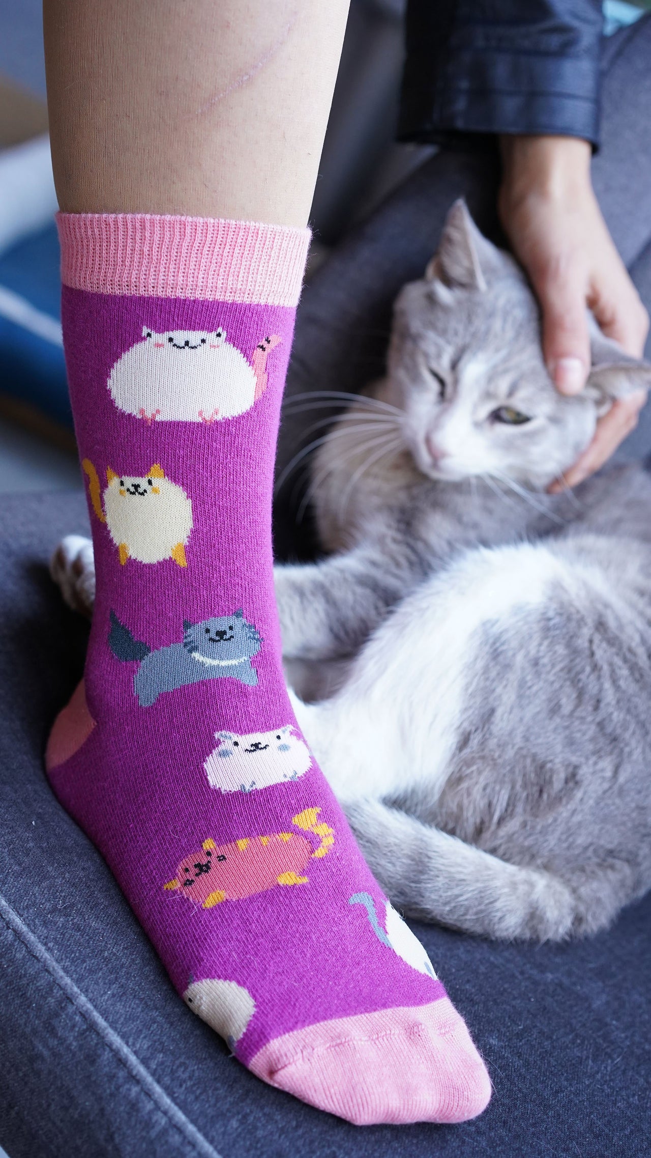 Women's Fatty Cats Socks - 1 COLOR -