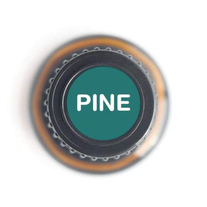 Pine Pure Essential Oil - 15ml -