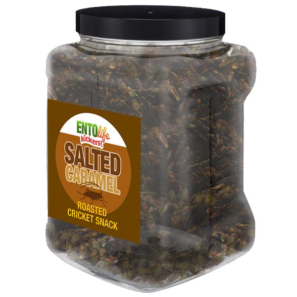 Salted Caramel Flavored Cricket Snack - Pound Size - SALTY & SWEET, BUG-ALICIOUS TREAT. FORGET CARAMEL APPLES!! -