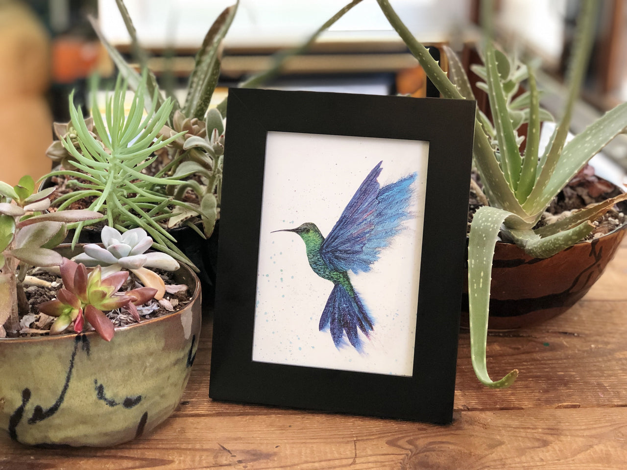 Hummingbird in Flight : Greeting Card - 5"X7" - 1 OR SET(6) -