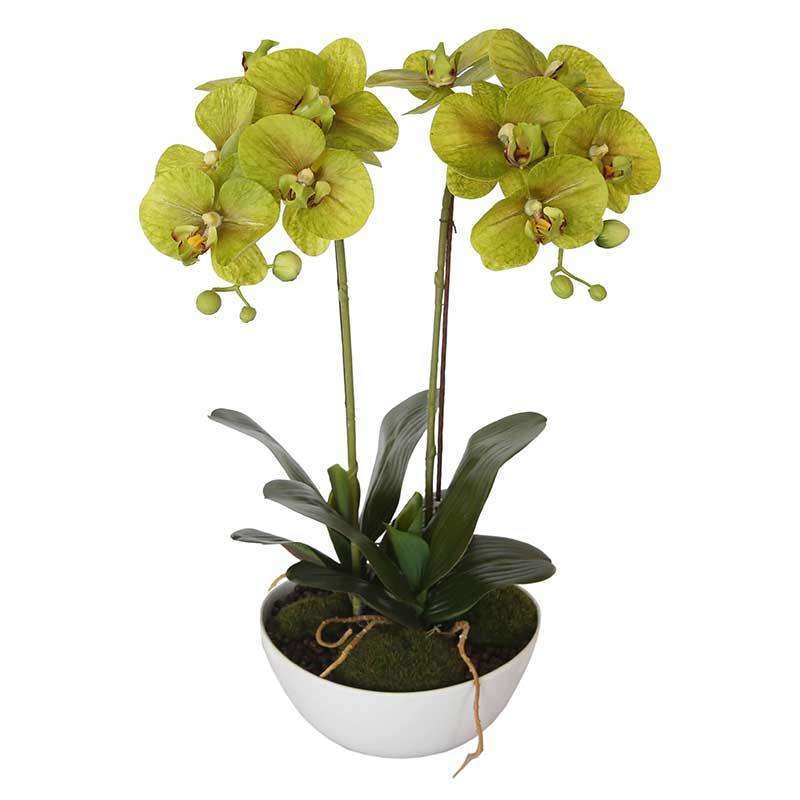 50cm Flowering Artificial Potted Orchid - Multi Stem -