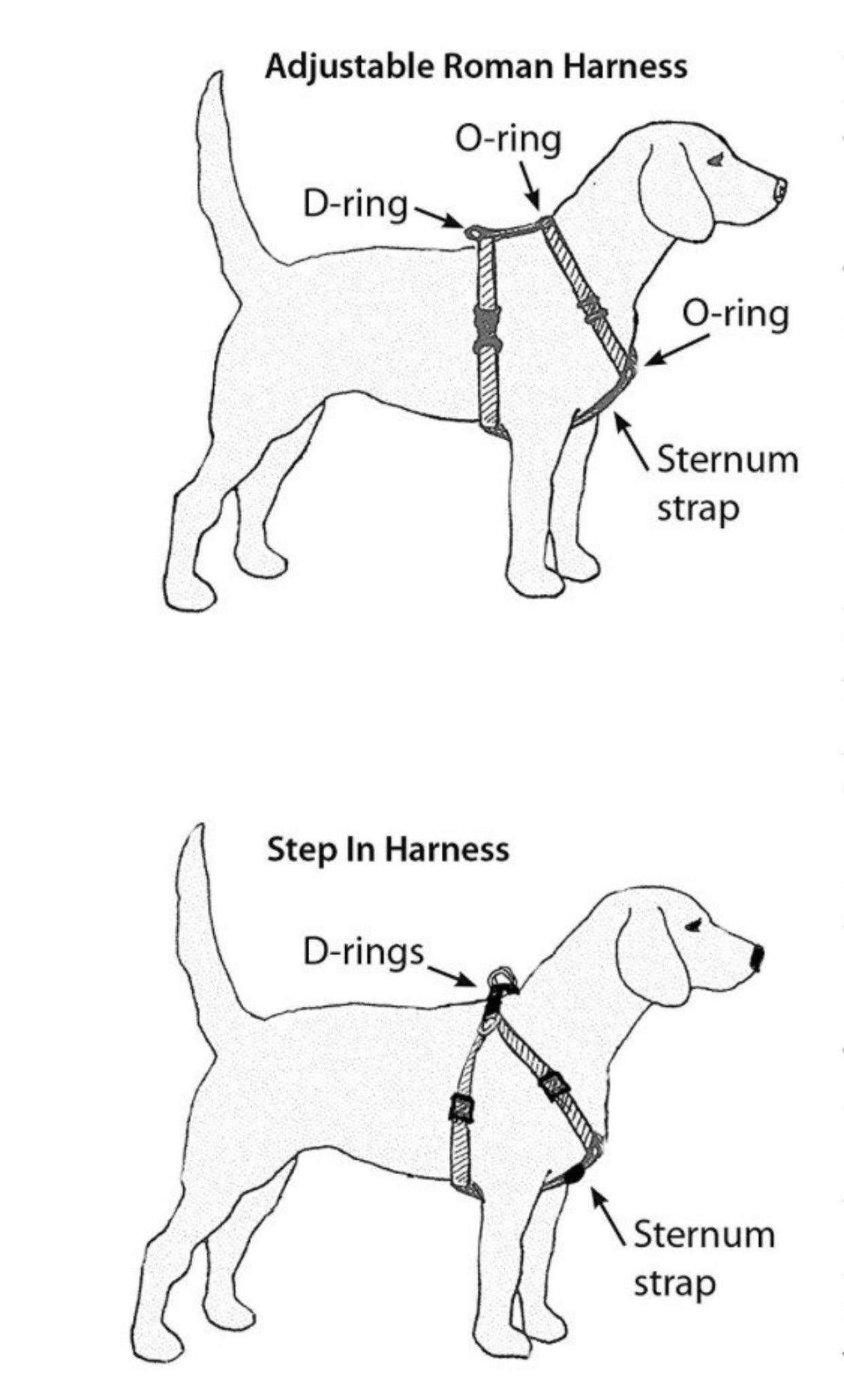 Step in Harness - Oh My Bubbles - 5 SIZES - HARNESS ONLY OR SET -