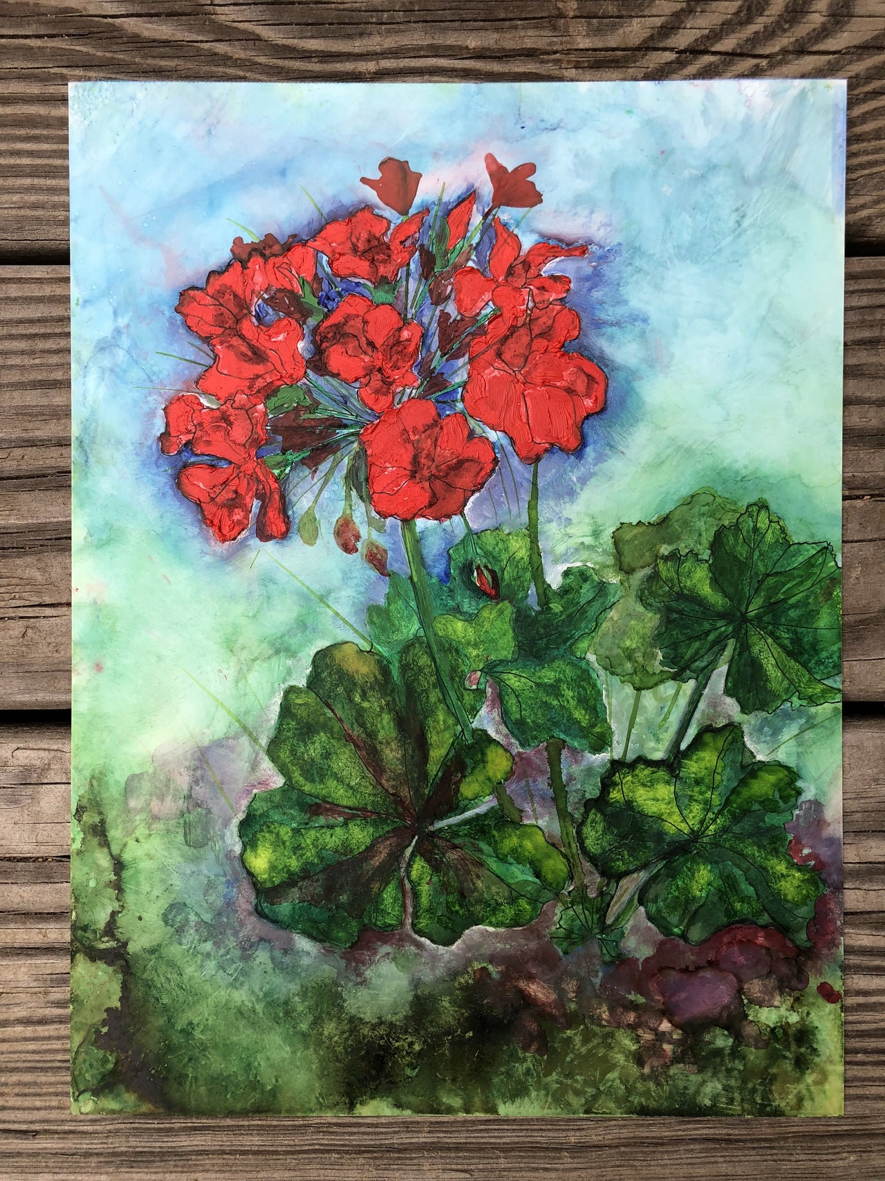 Geraniums : Greeting Card - 5"X7" - 1 OR SET(6) -