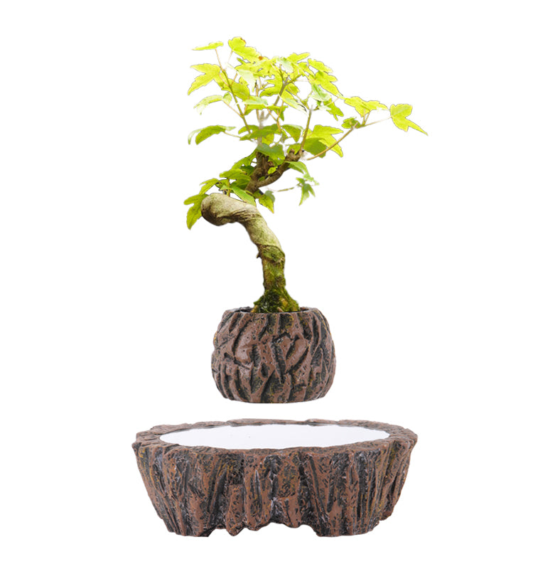 Concrete Creative Plant Pot - Succulent Flower Pot - Magnetic Levitation  - [5-10 DAY DELIVERY] -