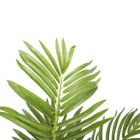 Thumbnail for Artificial Potted Areca Palm Tree 120cm -