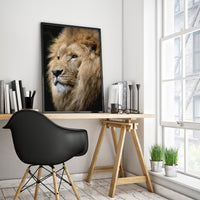 Thumbnail for Lion - Poster- USA printed - 4 SIZES -