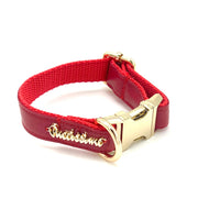 Thumbnail for Puccissime - Cherry Red Leather Collar -