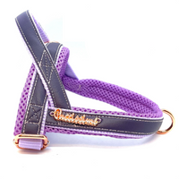 Thumbnail for Puccissime  -Orchid One-Click Harness - 4 SIZES -