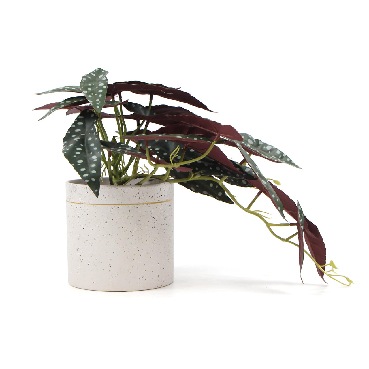 Artificial Bergonia Plant in Decorative Bowl 30cm -