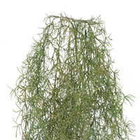 Thumbnail for Artificial Air Plant Spanish Moss UV Resistant 100cm -