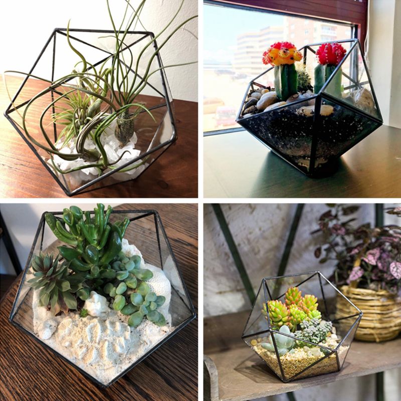 Glass Terrarium Storage Box - Jewelry Holder, Glass Geometric Terrarium Tabletop Succulent Plant Box  - [12 DAY DELIVERY] - 4.4"L X 5.1"W X 4.1"H X 4.5"D - 2 COLORS -