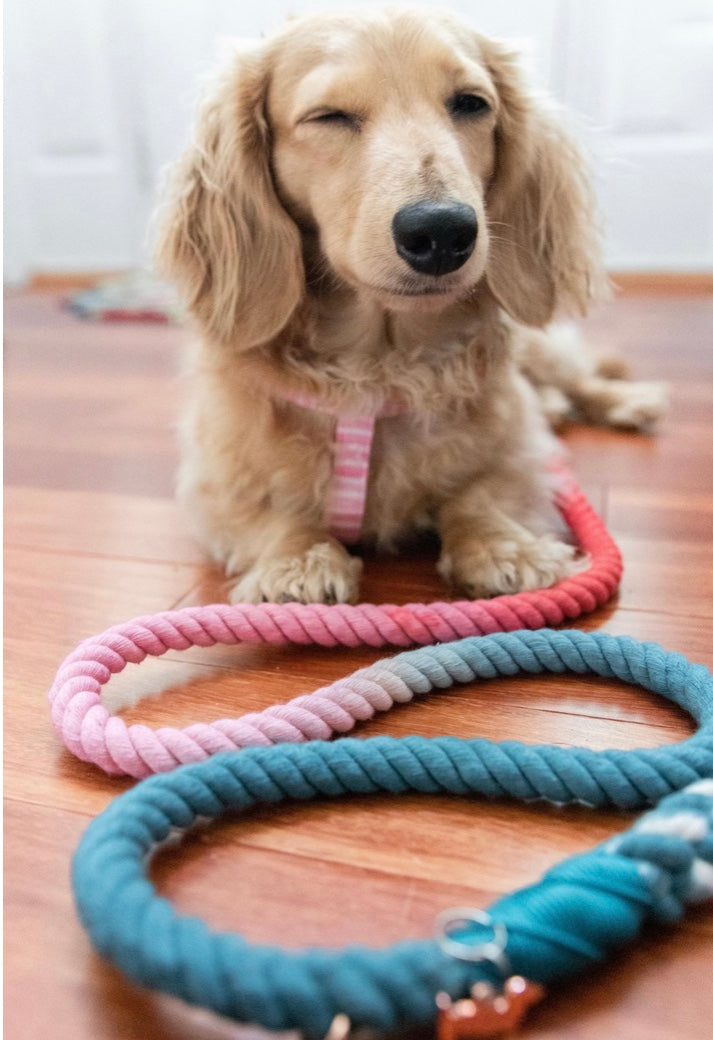 Rope Leash - Jack & Jill -