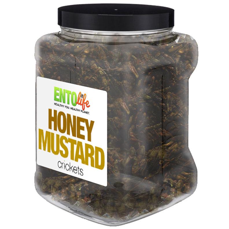 Honey Mustard Flavored Cricket Snack - Pound Size - HEALTHIER THAN A HOT DOG - FOR MUSTARD LOVERS EVERYWHERE! -