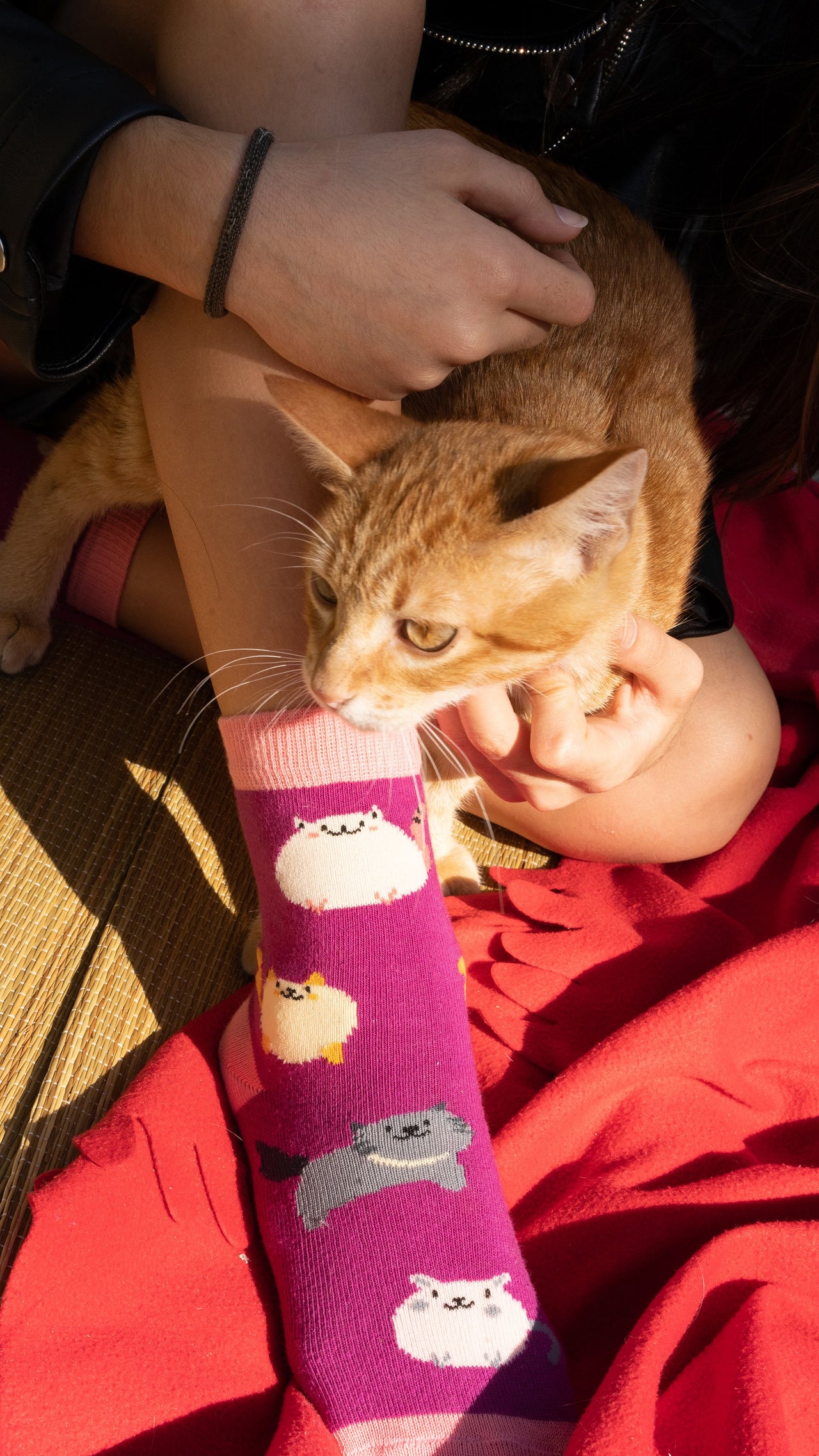 Women's Fatty Cats Socks - 1 COLOR -