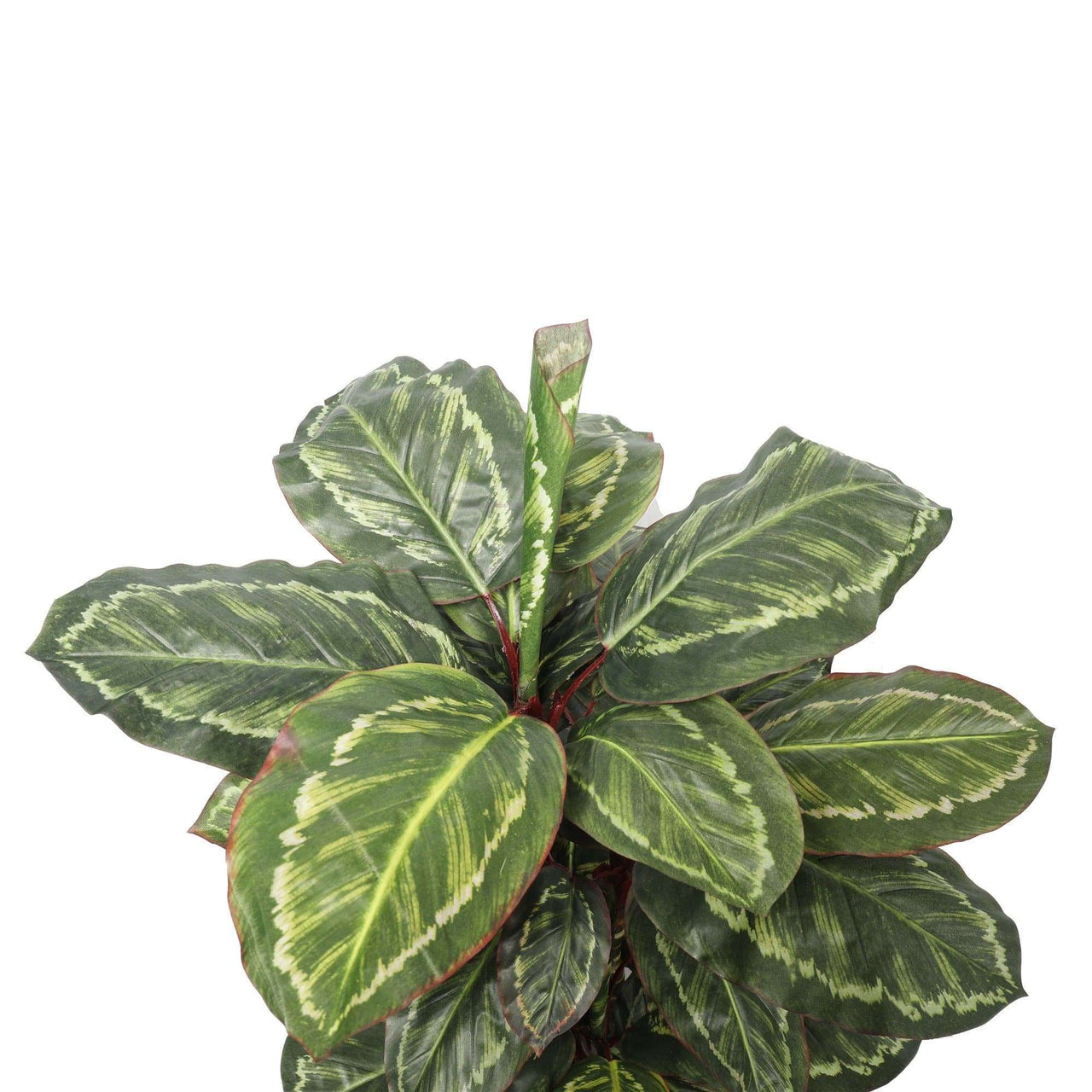 Artificial Wide Leaf Cordyline Plant 90cm -