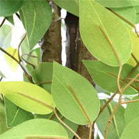 Thumbnail for Bushy Artificial Ficus Tree 140cm - Dark Trunk -