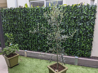 Thumbnail for Artificial Ivy Hedge Panel Fake Vertical Garden 1m X 1m (Indoor or Outdoor) UV Resistant -