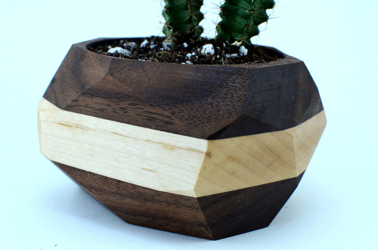 Iron Roots Design - Geometric Cactus & Succulent Planter - 2 COLORS -