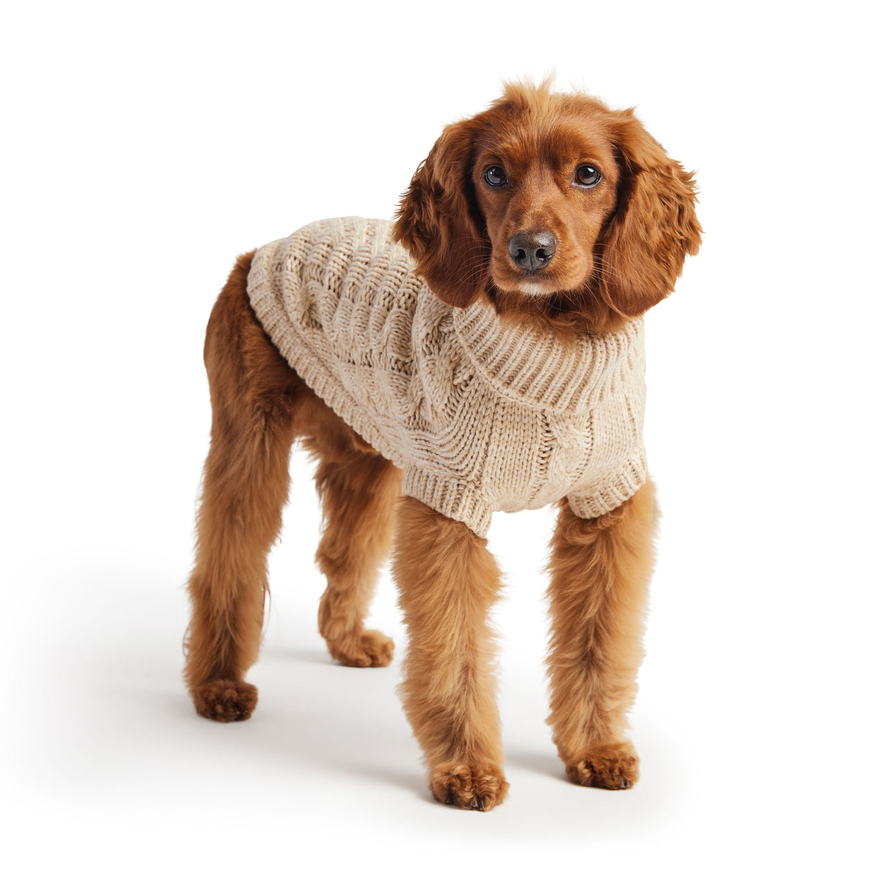 Chalet Dog Sweater - Oatmeal - 10 SIZES - 1 COLOR -