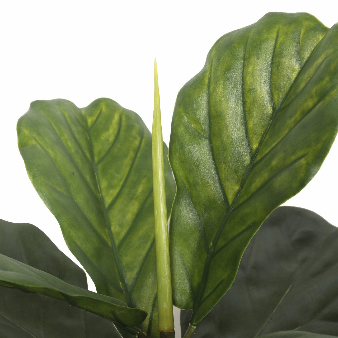 Premium Artificial Fiddle Leaf Fig UV Resistant 140cm -